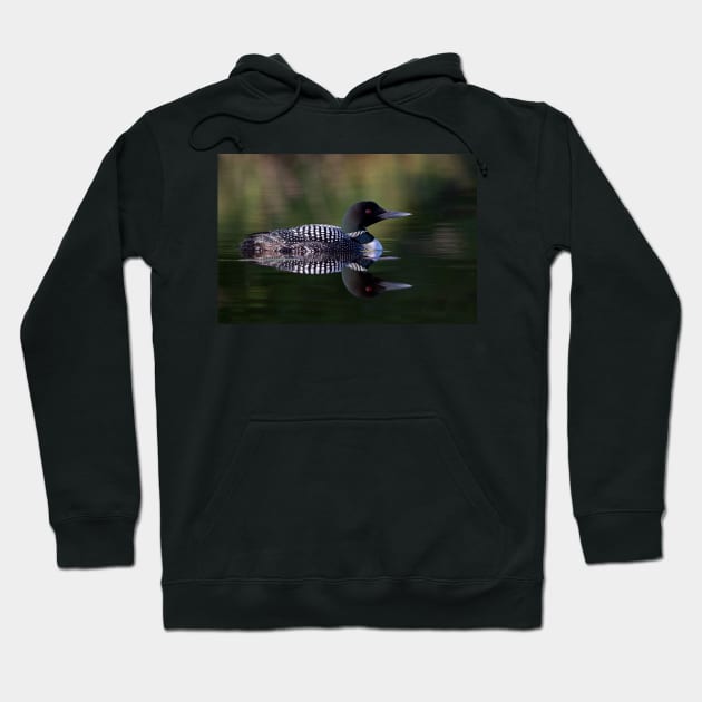 Reflective Loon - Common Loon Hoodie by Jim Cumming